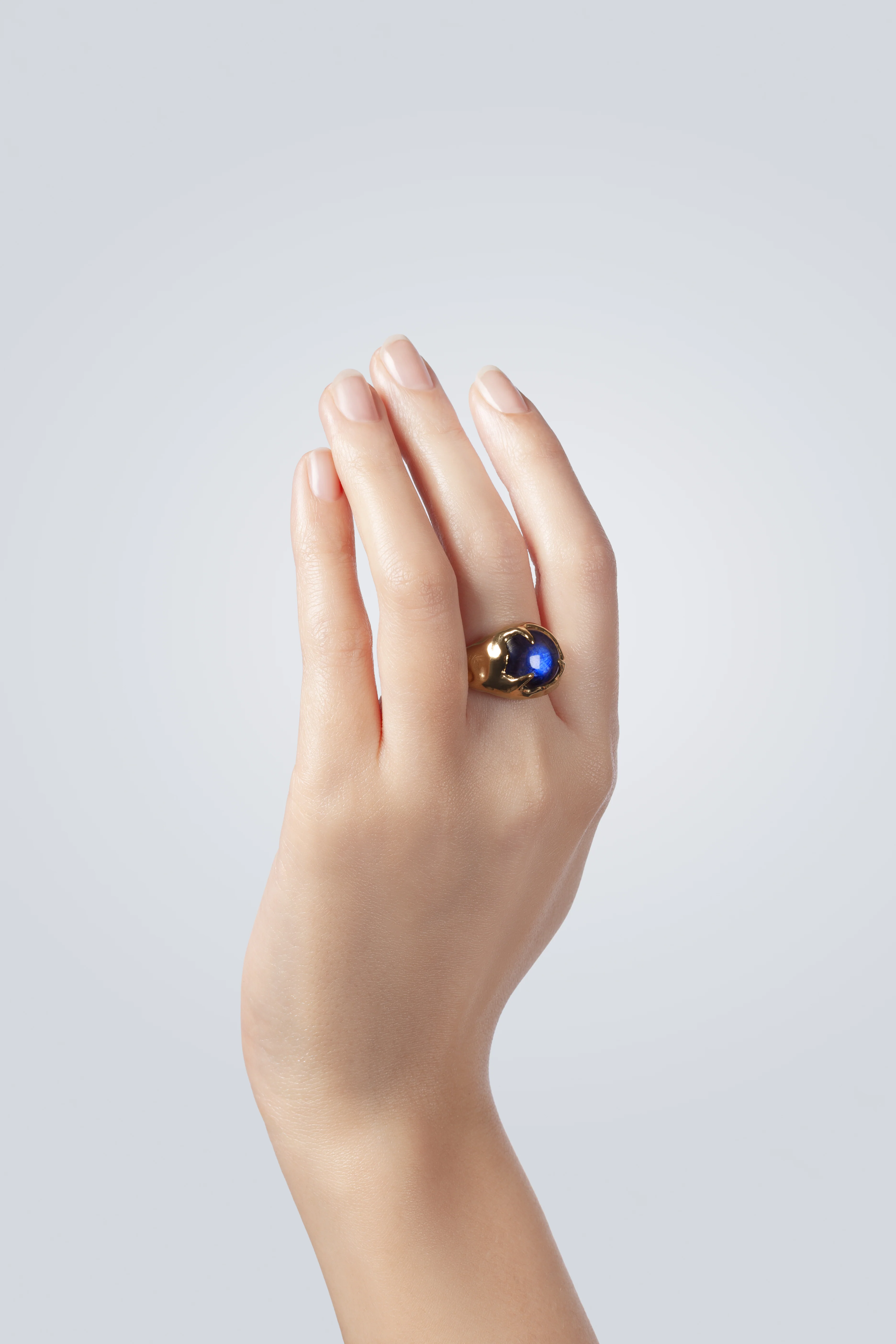 BAGUE FAUVE - Image 9